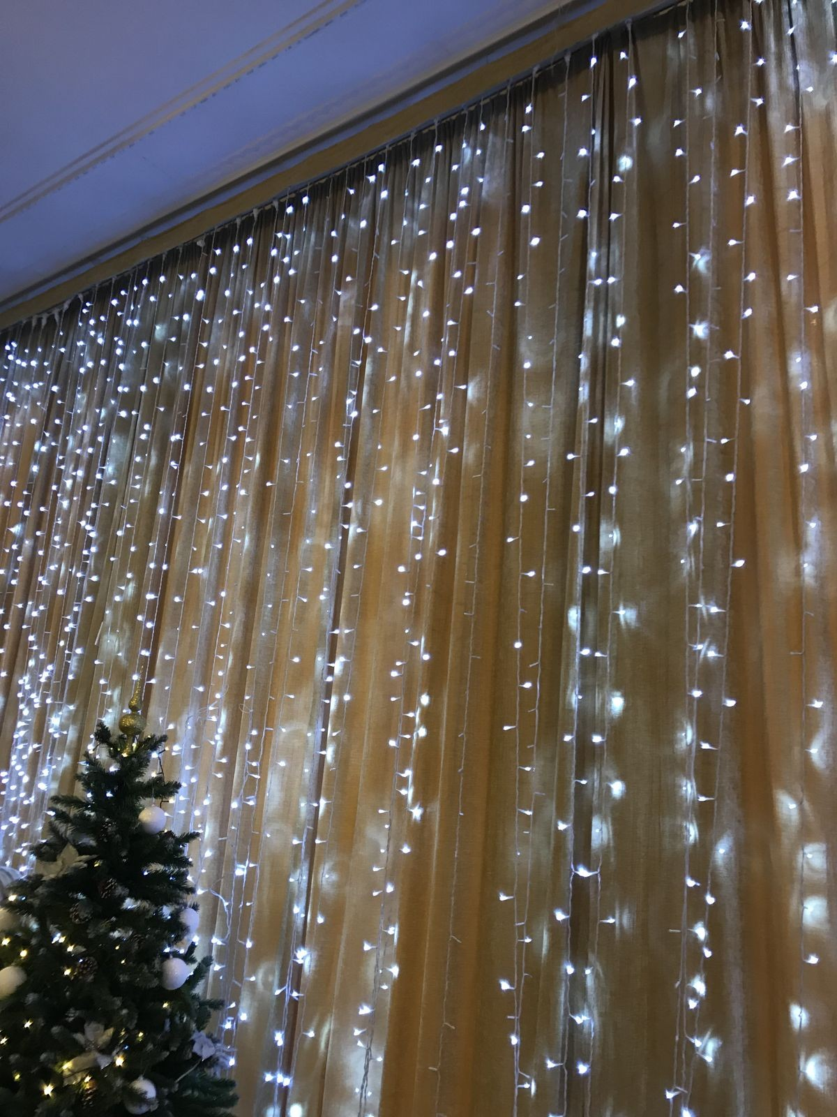 String lights hanging on a wall with a Christmas tree in the foreground